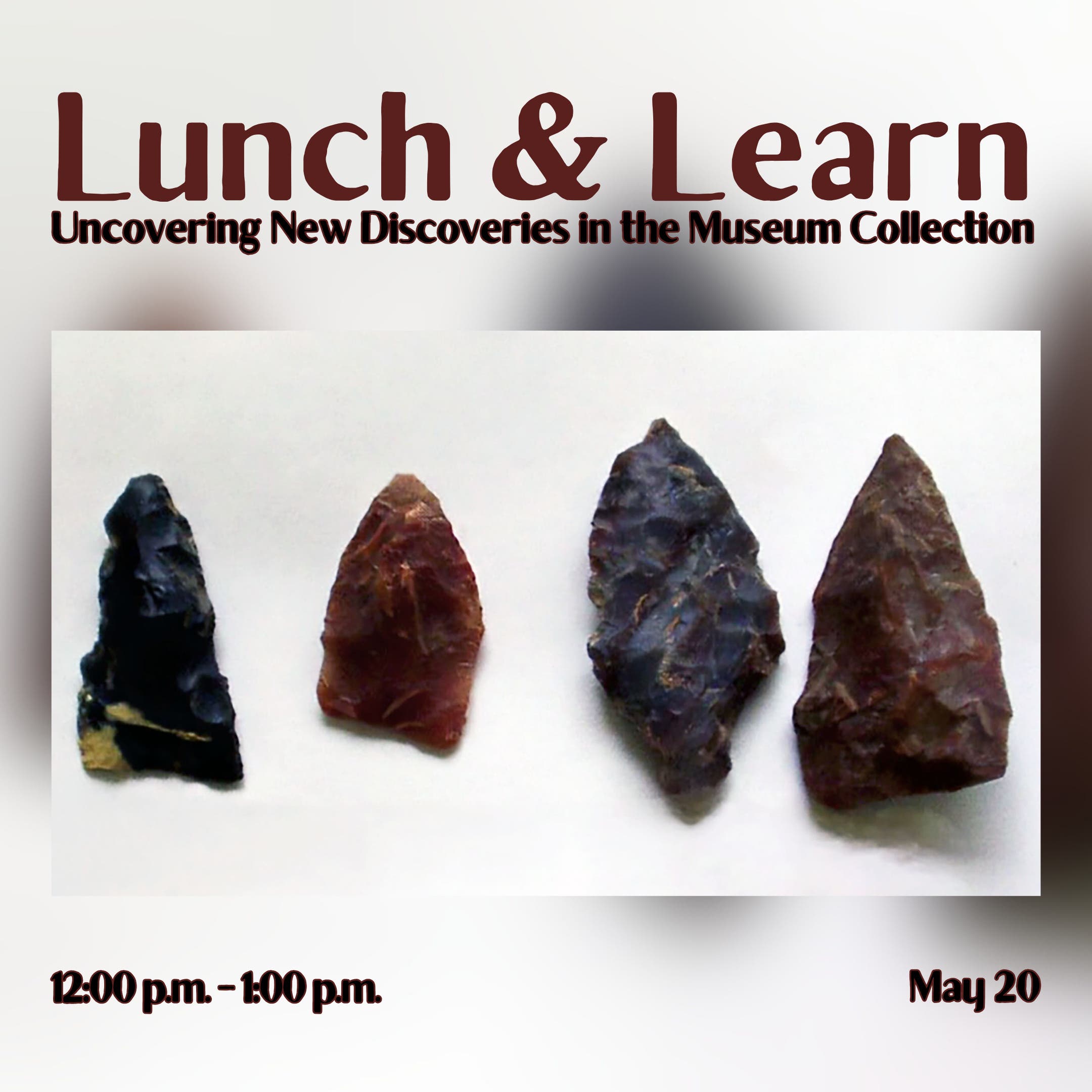 Lunch & Learn: Uncovering New Discoveries in the Museum Collection