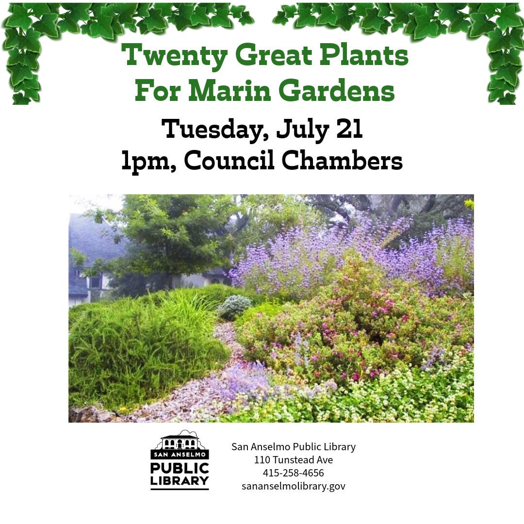 Twenty Great Plants for Marin Gardens