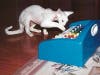 Ricky plays piano in the above photo. Ricky died of HCM in 1987.