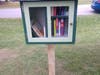 Another Little LIbrary Sample