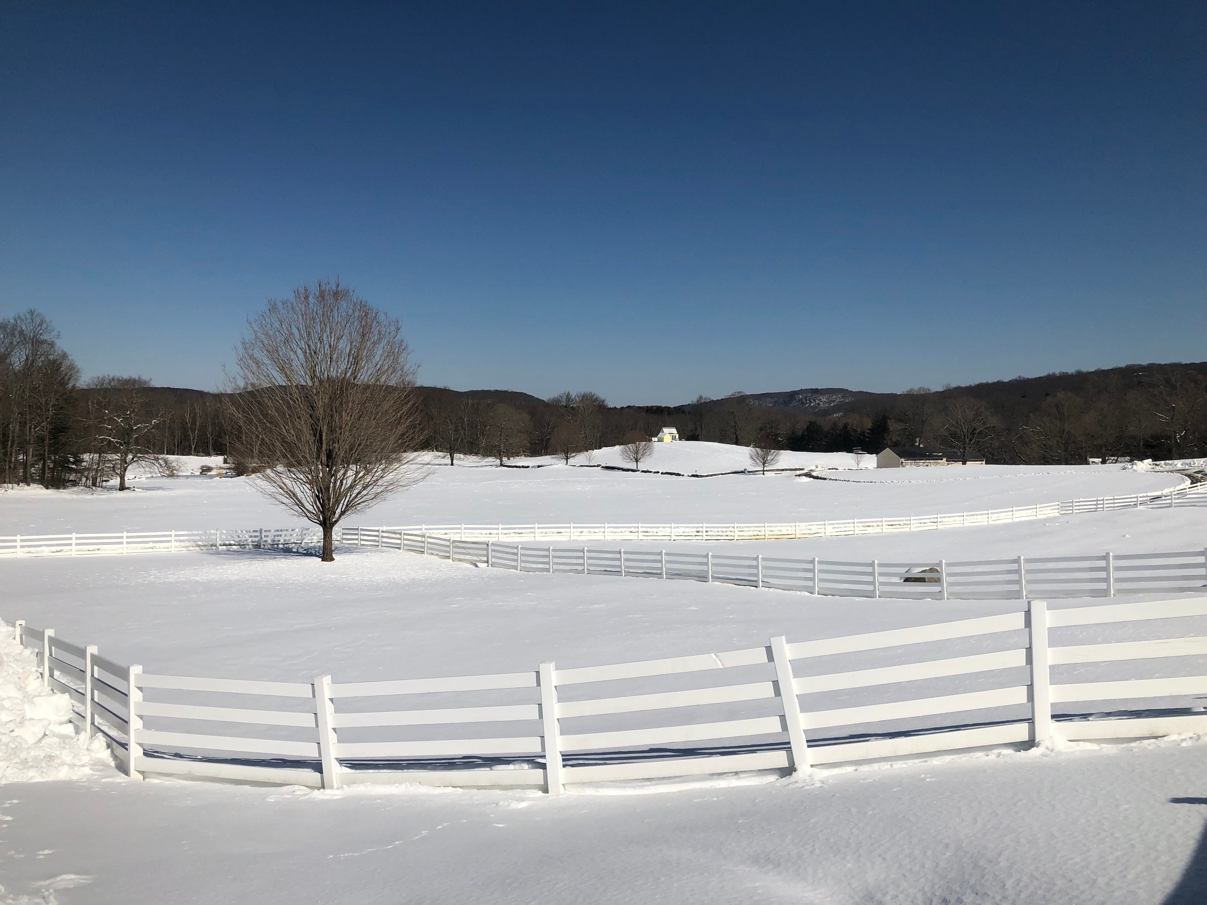 Open Day at New Pond Farm Education Center