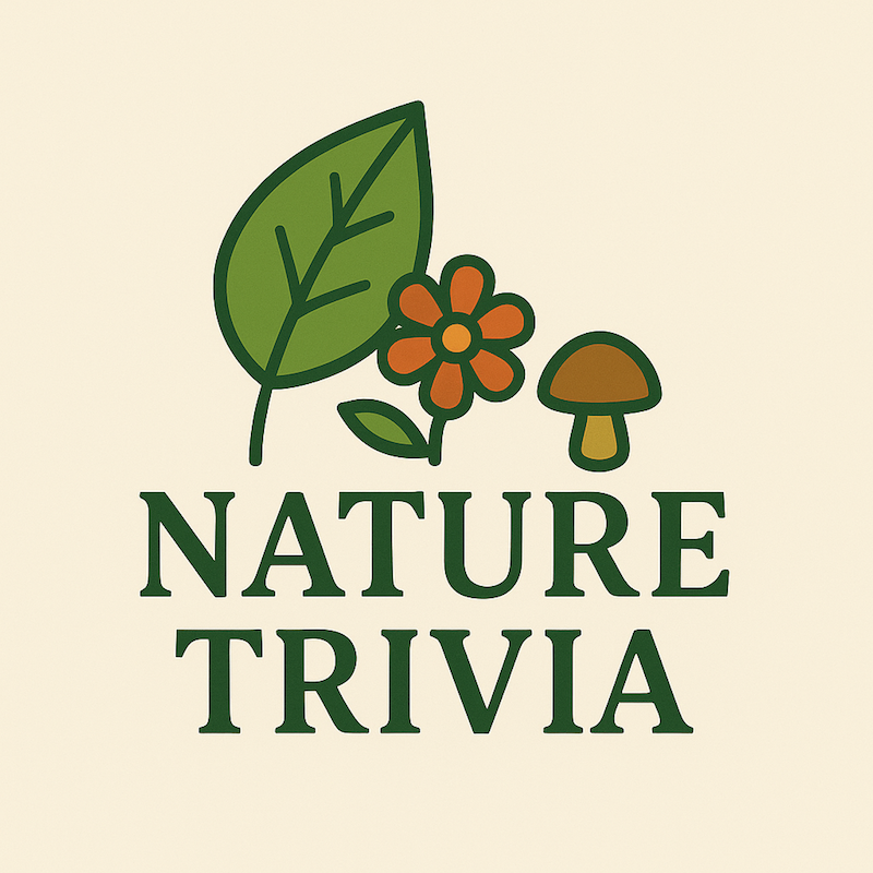 Family Nature Trivia