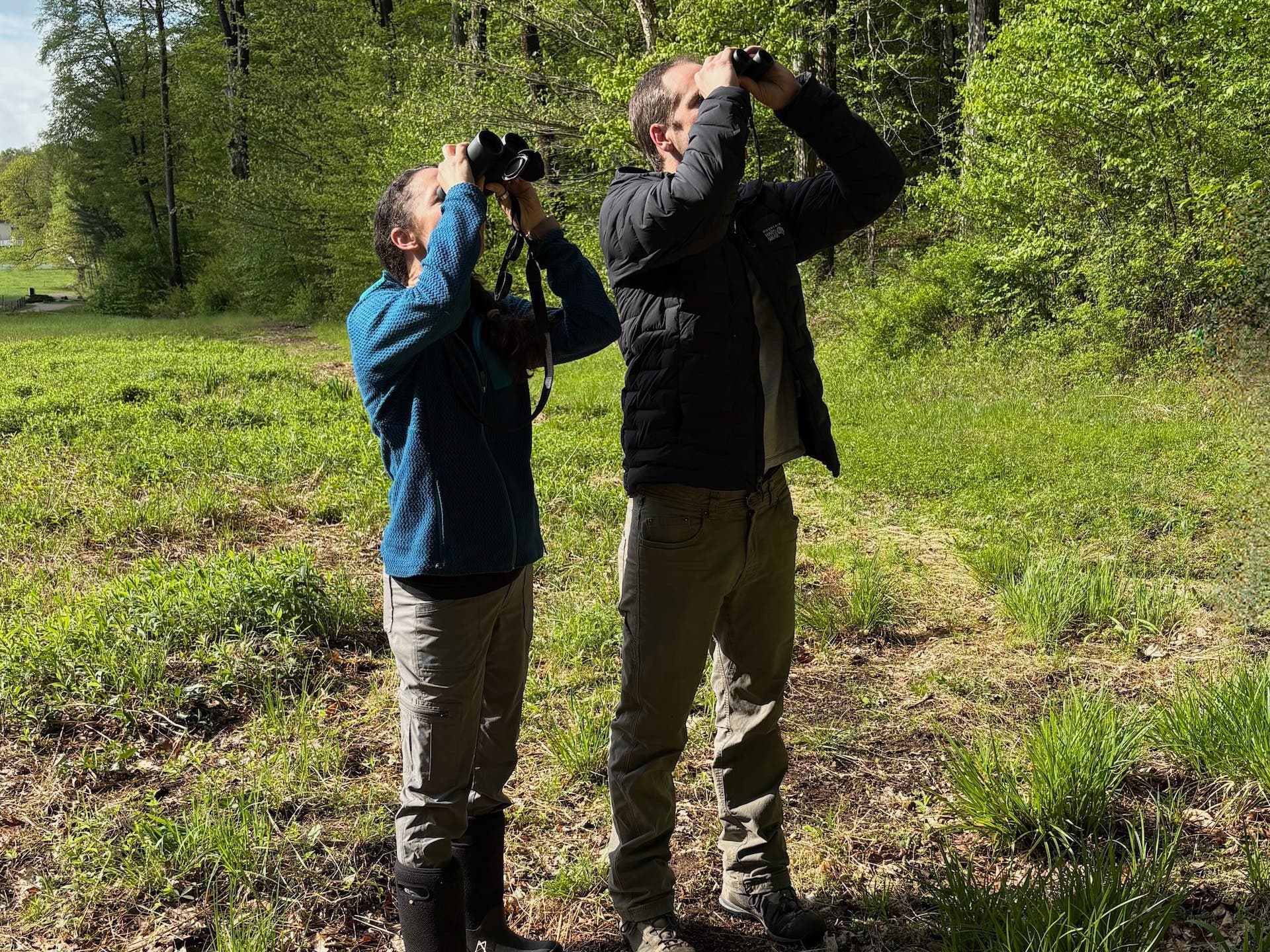 Spring Migration: Birding with Joe Bear