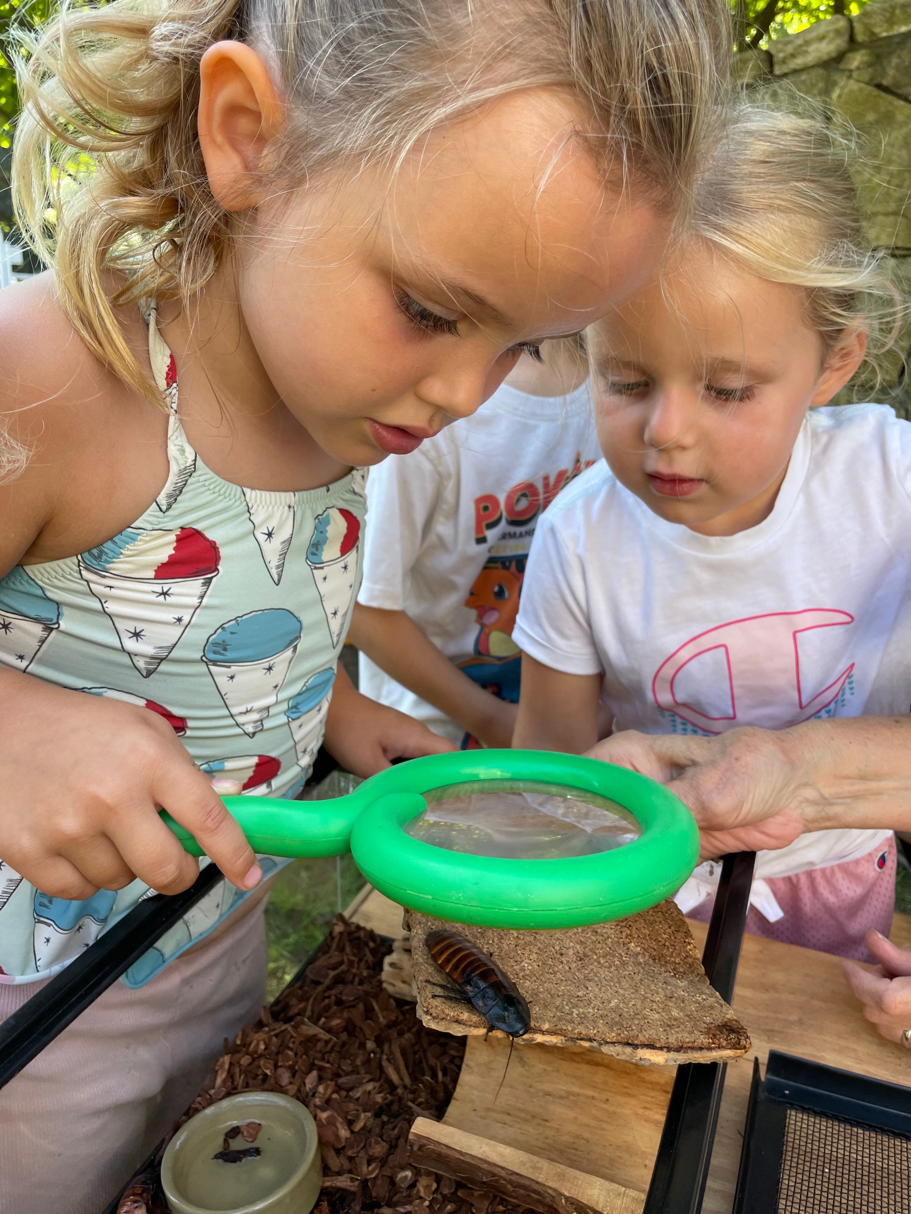 September Junior Naturalists (Ages 3 - 5)- Wednesdays
