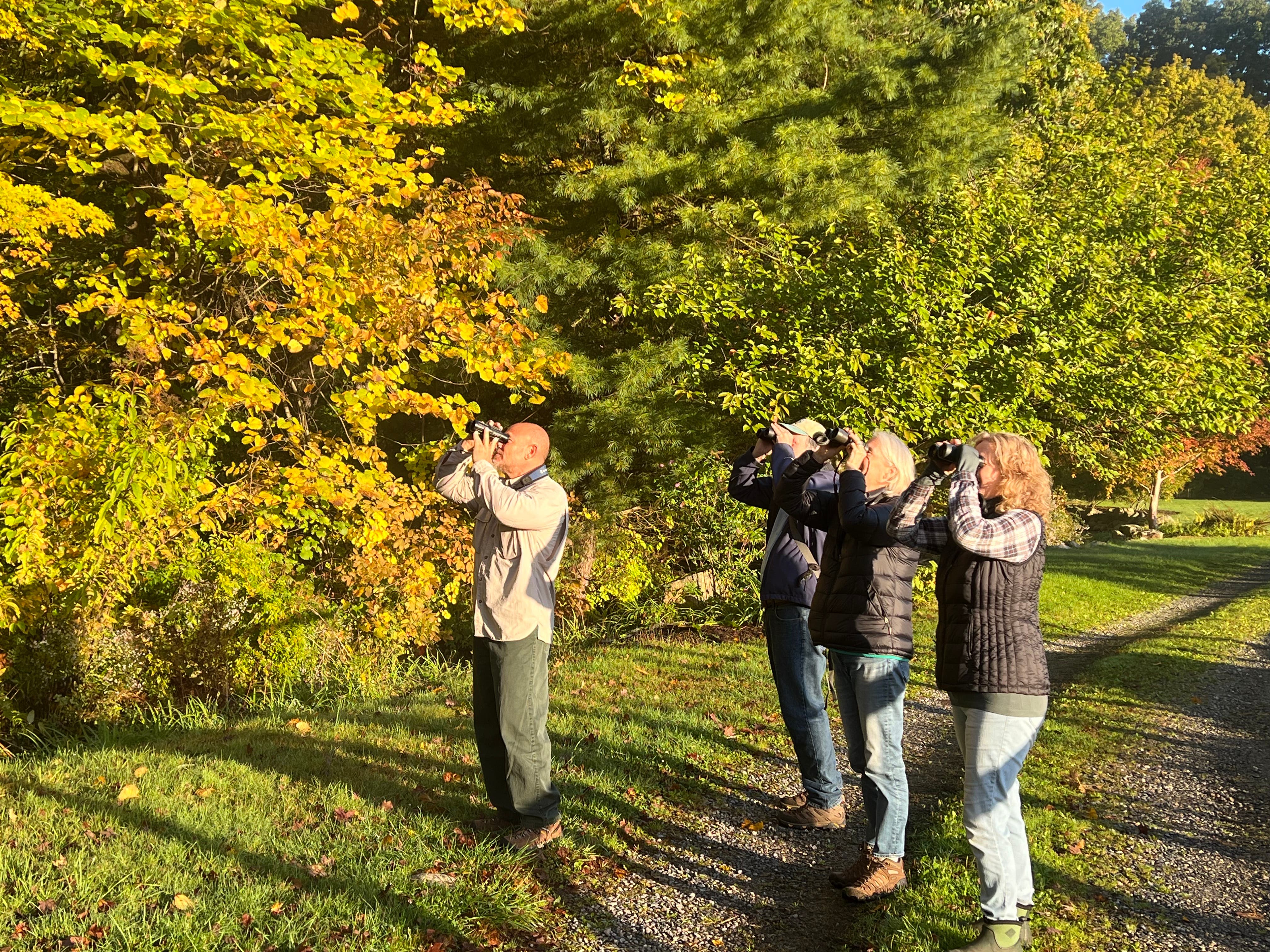 Fall Migration: Birding with Joe Bear