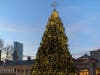 Blink! Tree at Faneuil Hall Marketplace 