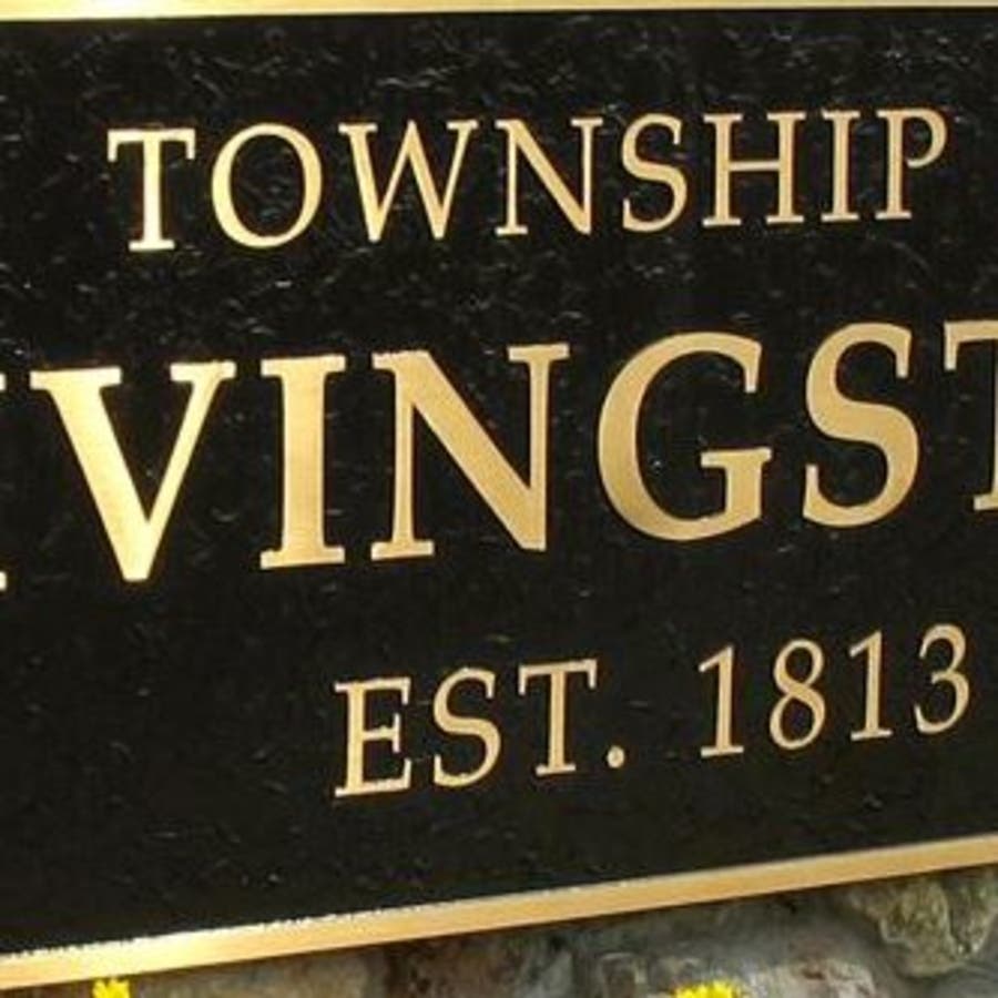 Livingston To Hold Martin Luther King Jr. 'Day Of Service' Livingston