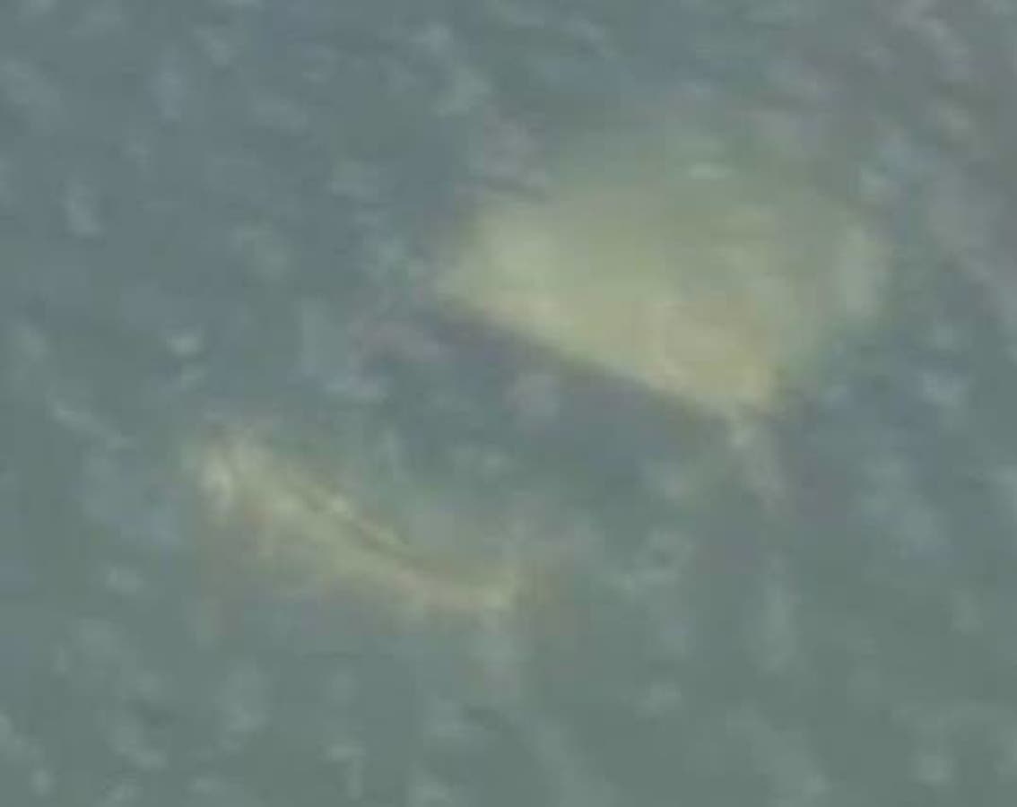 A Belleville resident leaped into the icy waters of the Passaic River and saved a crash victim, police say.