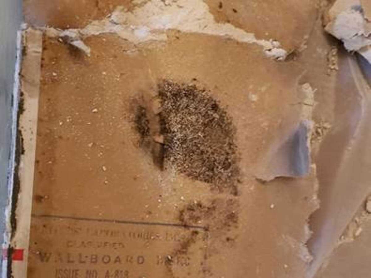 Hoboken is now one of the first municipalities in the state to regulate mold in local homes, officials say.
