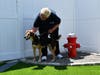 The host of “George to the Rescue” is bringing some attention to his local shelter as it gears up for an annual adoption event. 
