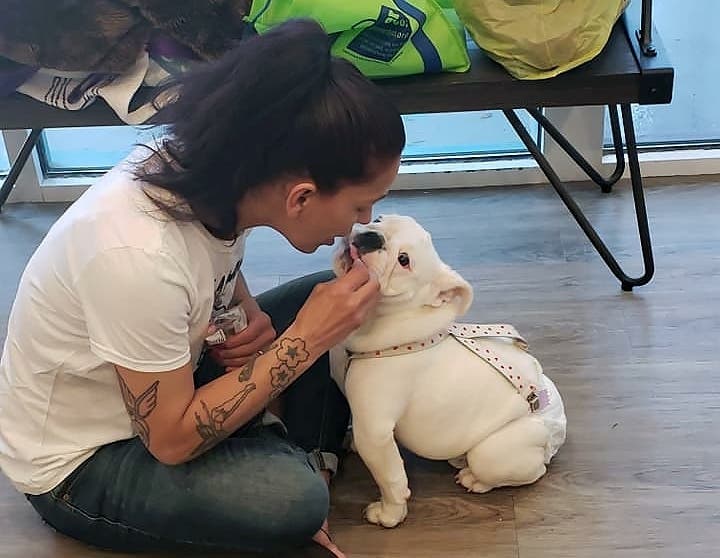 The Montclair Township Animal Shelter found homes for 10 cats and 13 dogs during the 2019 “Clear the Shelters” event.