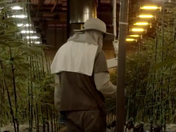 Harmony Foundation opened New Jersey’s sixth medical marijuana dispensary in Secaucus in June 2018.