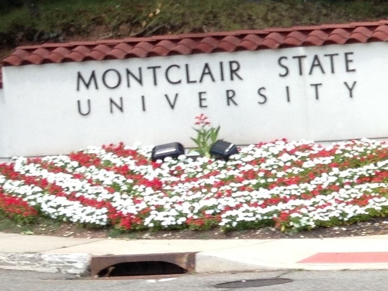 A former Montclair State University student has been accused of stealing almost $44,000 from a campus fraternity.