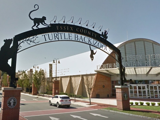 The West Orange Town Council passed a resolution regarding the Turtle Back Zoo on Sept. 10, 2019.