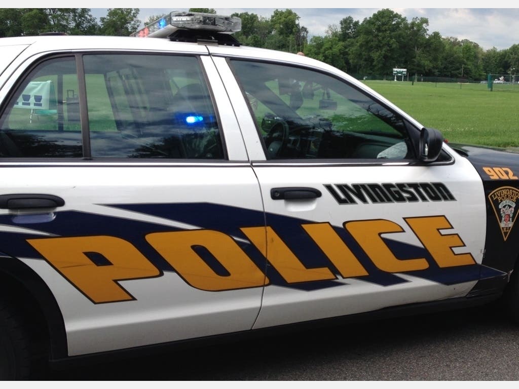 Livingston saw multiple car thefts in the span of a week, despite the coronavirus crisis, police said.