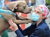 In honor of National Nurses Week, the Associated Humane Society of Newark hosted a "De-Stress Fest" for the nurses and hospital staff of Newark Beth Israel Hospital.