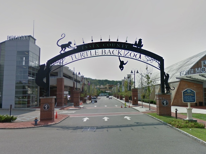 A virtual meeting will be held on July 16 to discuss potential work on the eagle exhibit at the Turtle Back Zoo in West Orange, NJ.