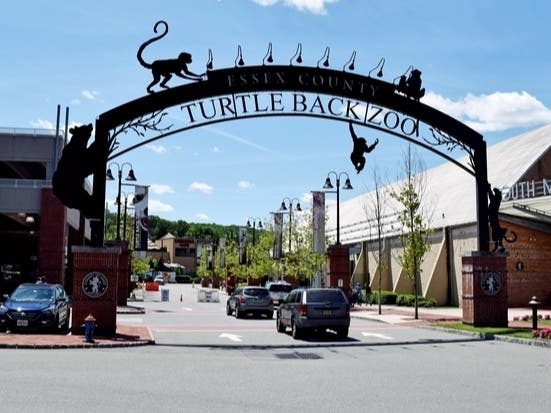 On Friday, the Essex County Turtle Back Zoo in West Orange announced that one of its wolves was humanely euthanized last week due to known medical conditions and his age.