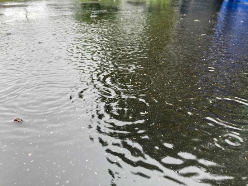 Gov. Phil Murphy declared a state of emergency across New Jersey Wednesday night as Tropical Storm Ida passed through the state.