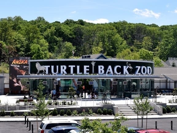 On Thursday, the Turtle Back Zoo in Essex County announced the death of its beloved emu, Sheila.