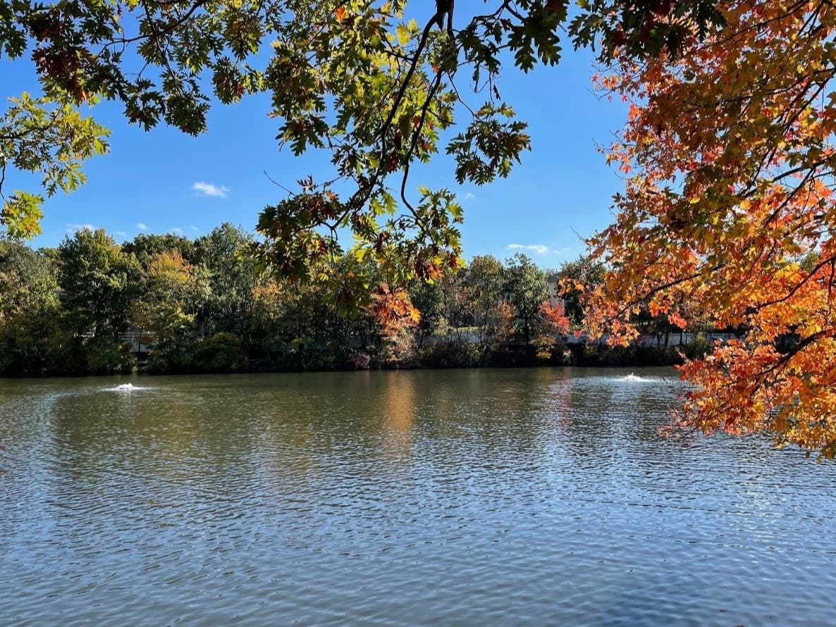 The West Orange Township Zoning Board of Adjustment voted unanimously against California-based Public Storage’s plan to construct a storage facility in West Orange overlooking historic Crystal Lake on April 28.