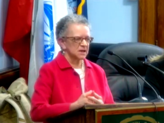 Assemblywoman Mila Jasey represented West Orange and other nearby towns for years in the 27th District. She announced her upcoming retirement earlier this year.