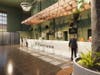 Treevana has applied to open a recreational cannabis dispensary at the historic Chase bank building on Bloomfield Avenue in Montclair, NJ, the company announced Monday.