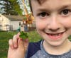 Sam Karp, 7, poses with a six-leaf clover he found in his backyard in Montclair, New Jersey on April 15.