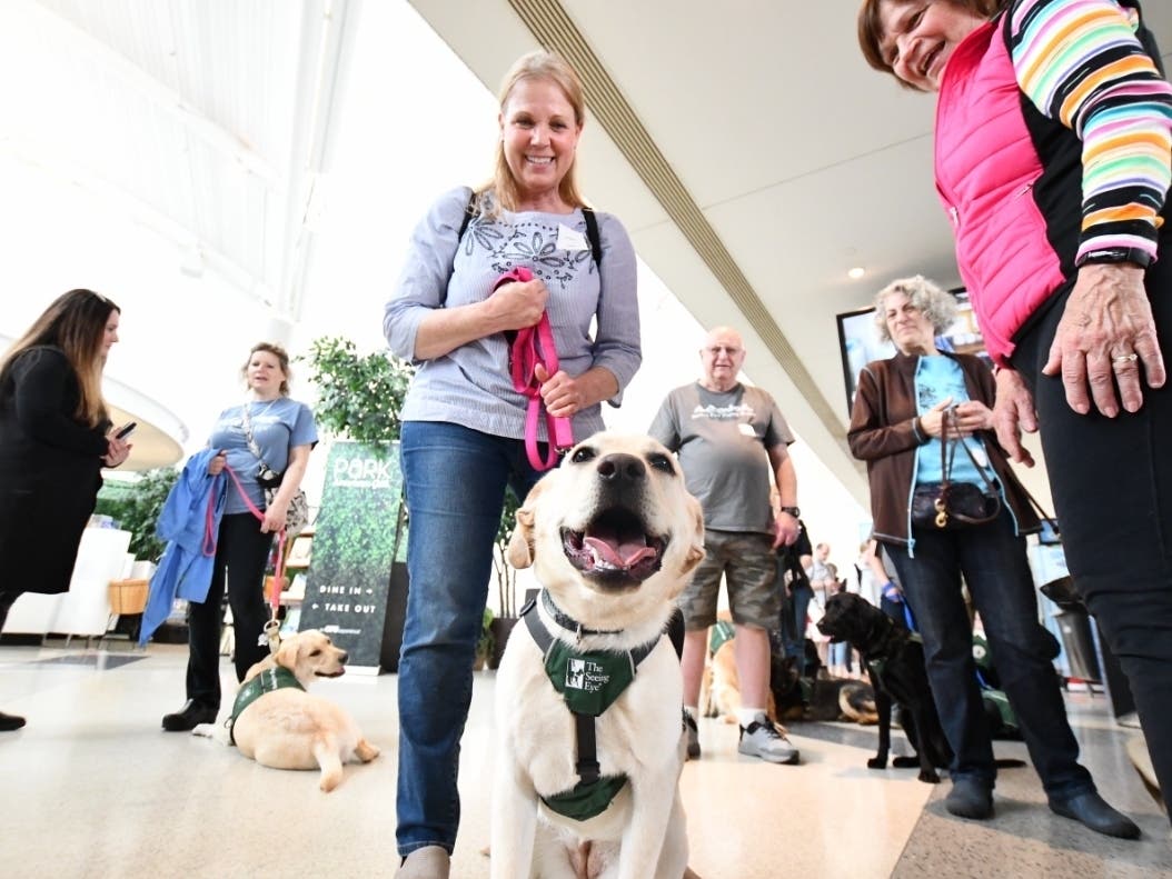 Newark Liberty International Airport recently hosted 170 puppies and more than 200 volunteers as part of a program to train them for their future roles as guide dogs.