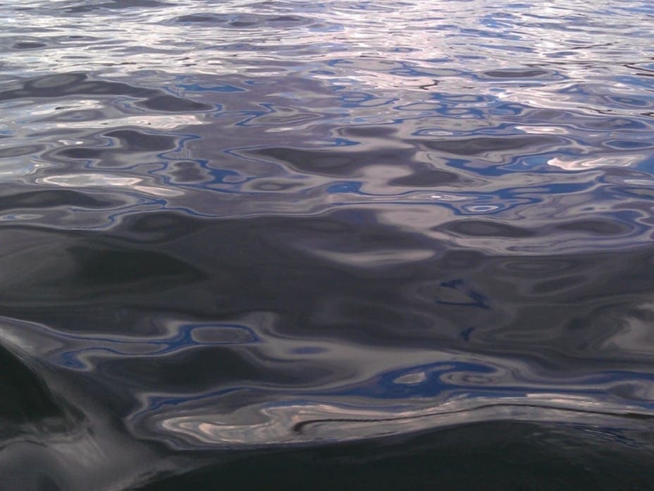 Police have launched an investigation into the death of a man whose body was found in a lake at a county-run park in Newark on Tuesday.