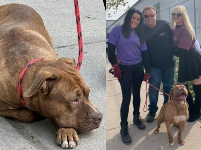 “Red” the dog spent nearly two years in custody at an animal shelter in Essex County, New Jersey. He recently took another step towards a forever home.