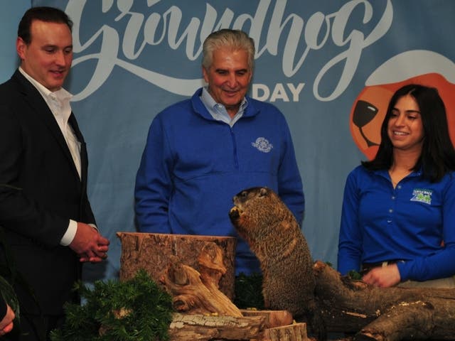 Groundhog Day In Essex County: Early Spring – What About Super Bowl ...
