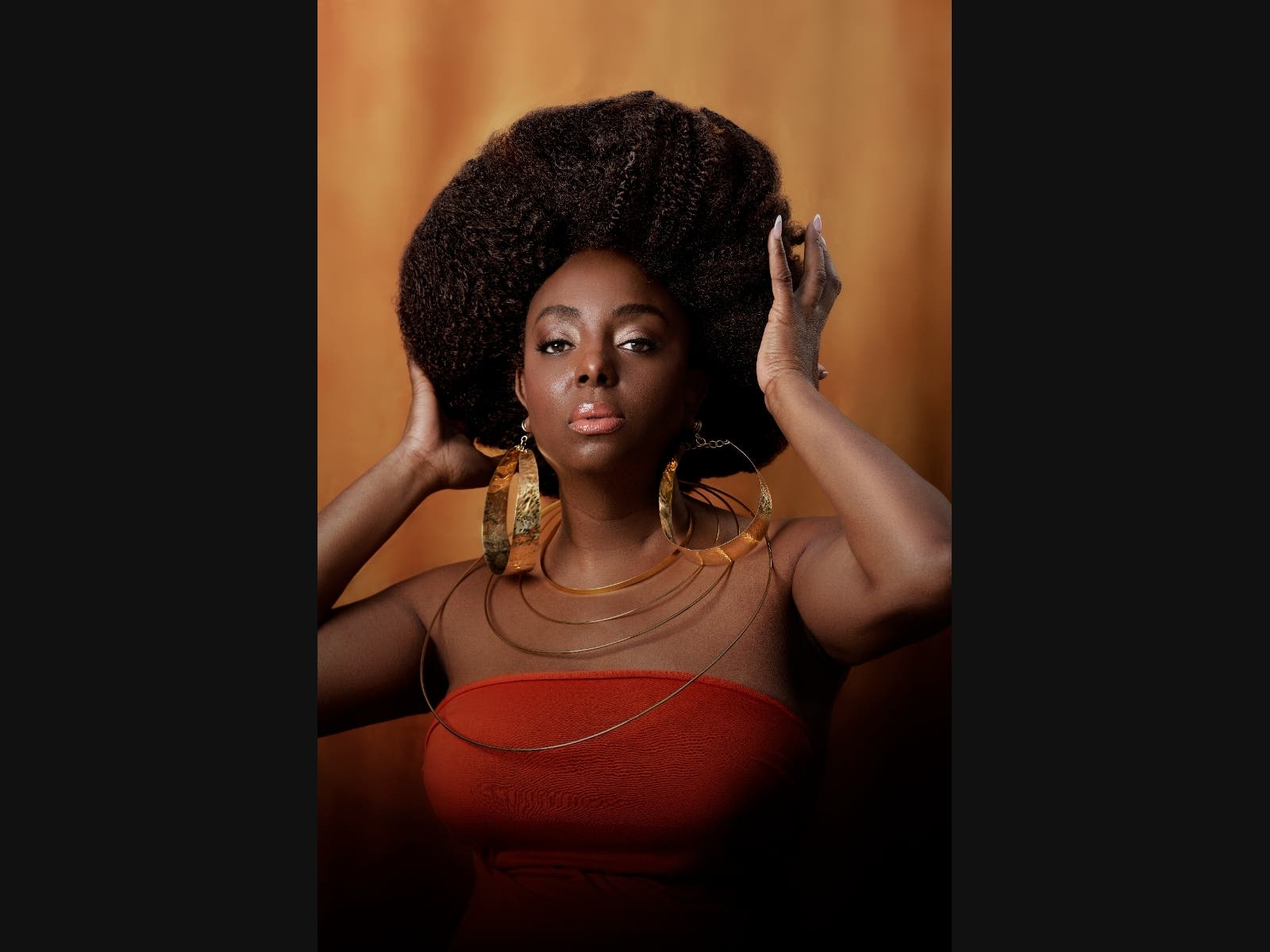 Ledisi will be playing a show at the Prudential Hall at the New Jersey Performing Arts Center (NJPAC) in Newark on Thursday, March 7. She will be joined by special guest, Raheem DeVaughn.