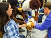 “Cody the Tripod Dog” will be getting a new leg thanks to a partnership with the West Orange Public School District. Above, owner Catherine Clark with Cody and students at West Orange High School.
