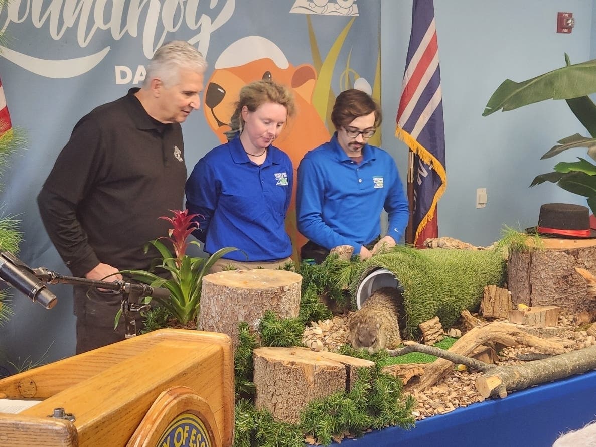 Essex County Executive Joseph DiVincenzo Jr. (left) and staff at the Turtle Back Zoo watch “Lady Edwina of Essex” make her Groundhog Day prognostication for 2025.