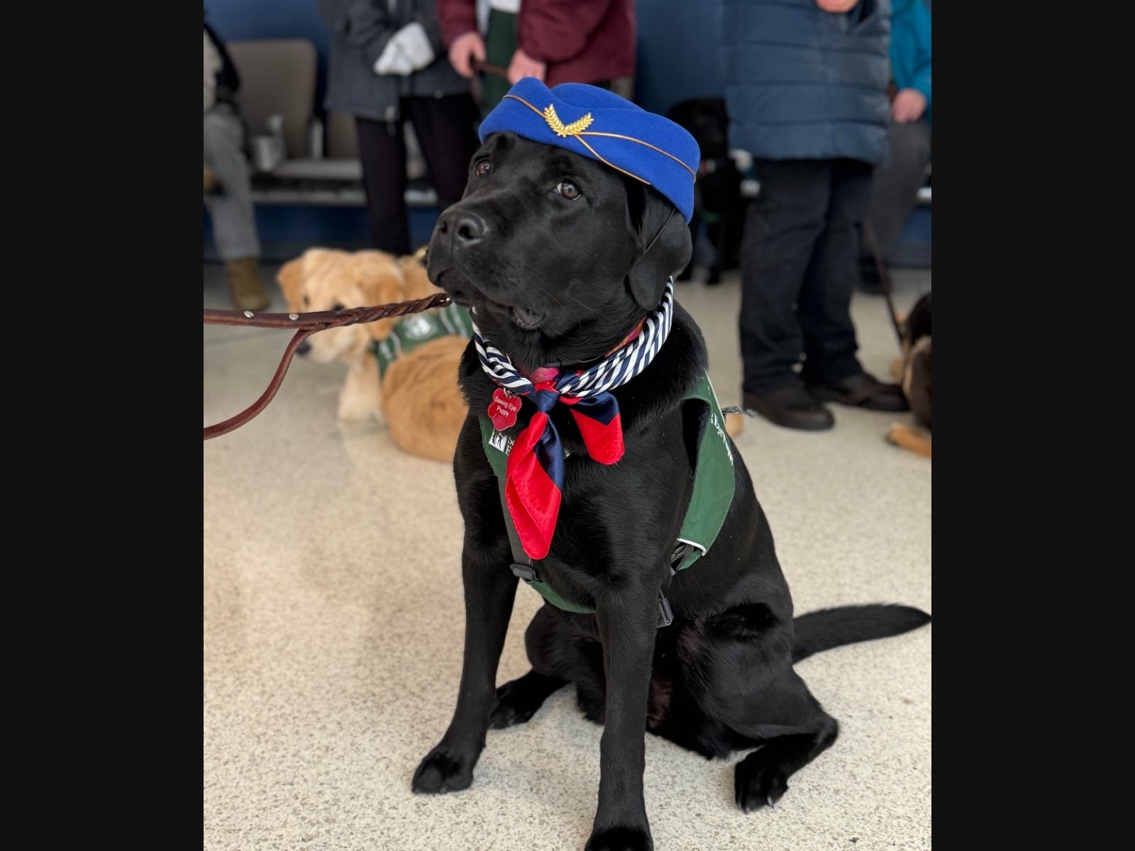 Nearly 260 future guide dogs and 300 volunteers paid a visit to Newark Airport last weekend as part of an annual training day held in partnership with nonprofit The Seeing Eye.