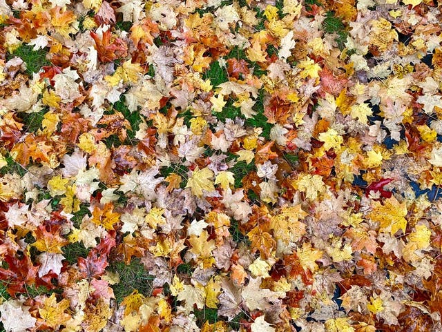 Farewell Summer: First Week Of Fall Weather Forecast In Montclair ...