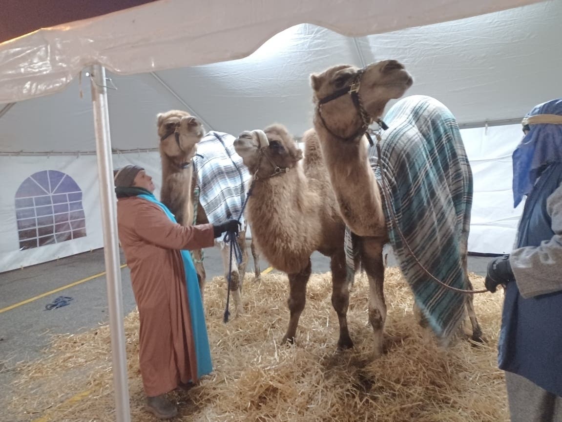 An annual Three Kings Day celebration in Essex County, New Jersey sparked some big smiles and community spirit. Above, camels at the 2026 event.
