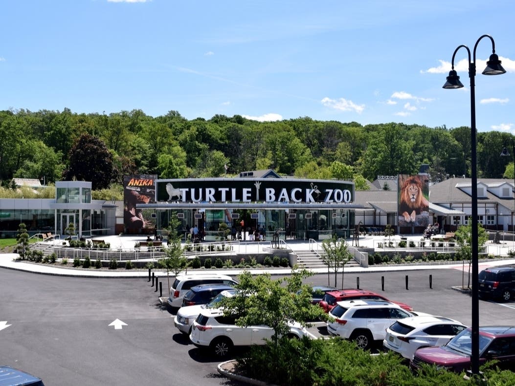 Wandering Bear Shuts Down Turtle Back Zoo In NJ