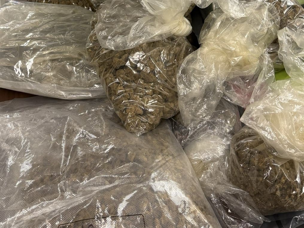 East Orange police seized more than 225 pounds of marijuana during a citywide crackdown on "illegal smoke shops."