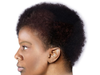 The New Jersey State Police is asking for the public’s help identifying human remains that were discovered in 1984. Above, a rendering of the unidentified woman.