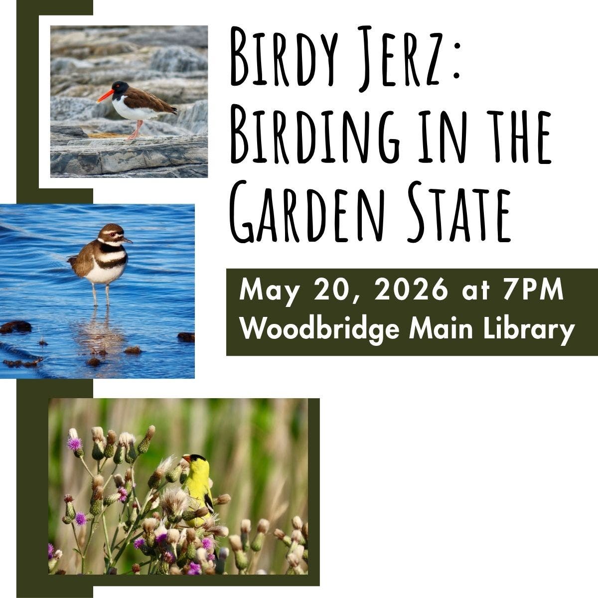 Birdy Jerz: Birding in the Garden State