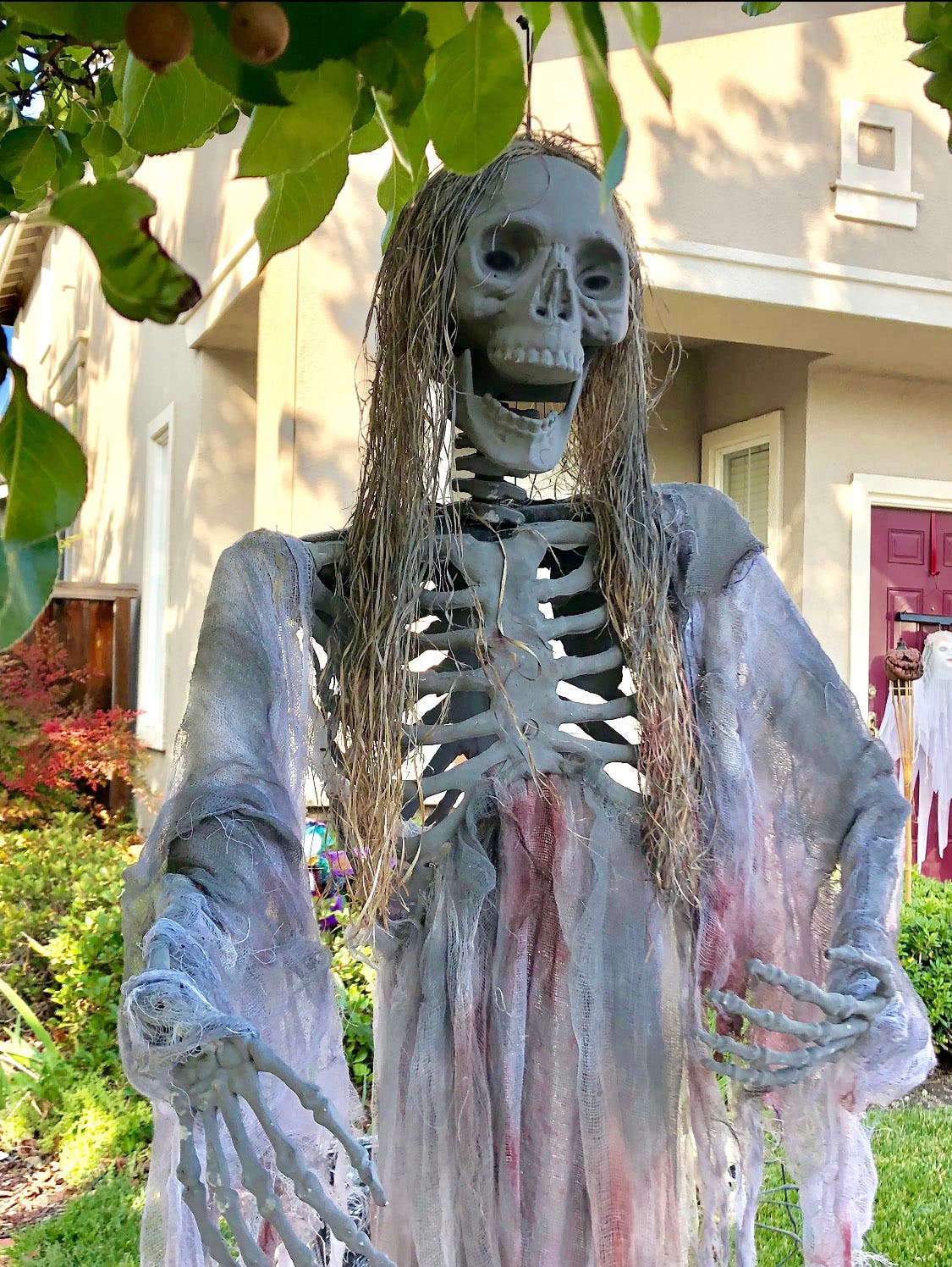 Skeleton decoration
