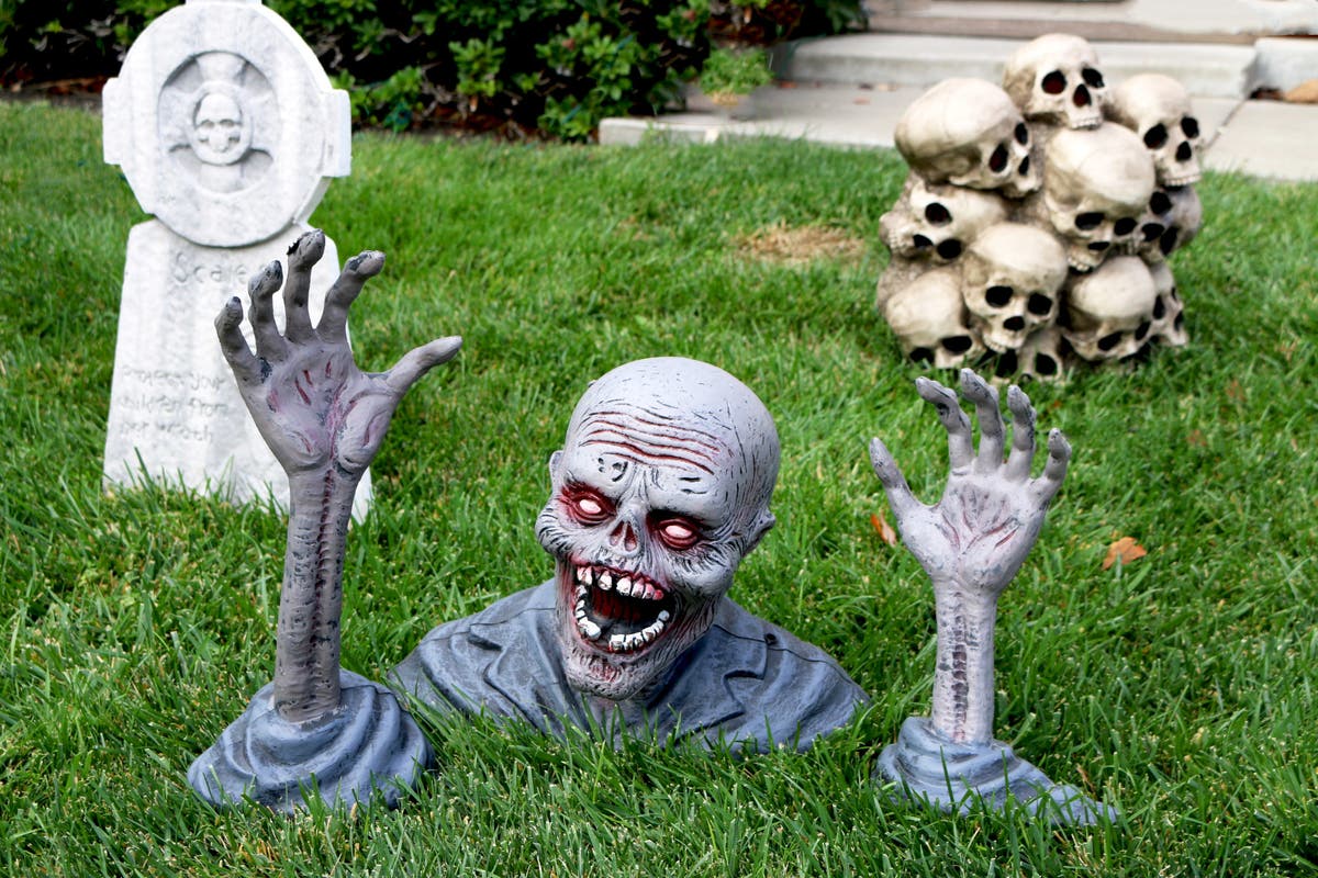 Lawn Zombie