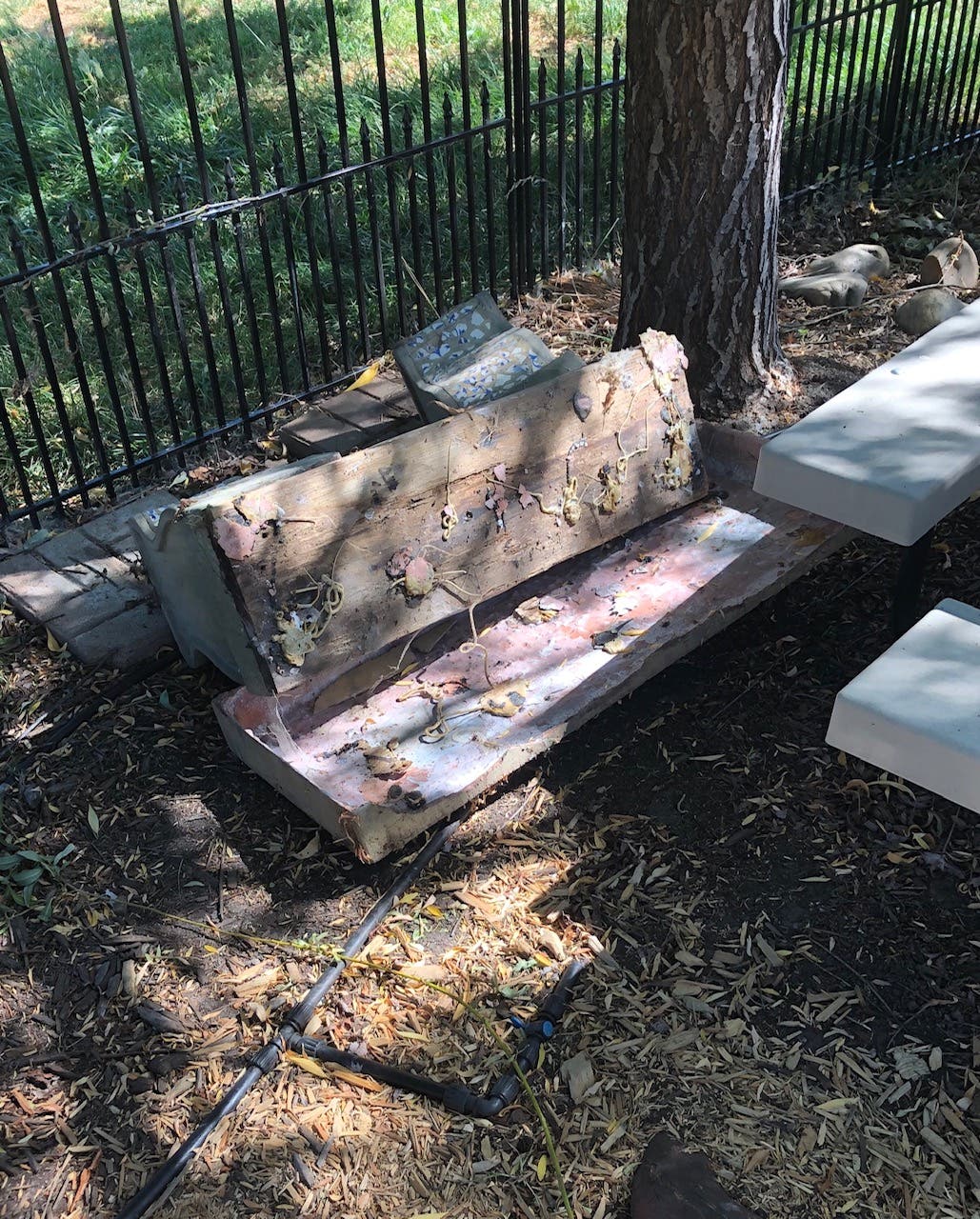 JDS school garden vandalized JDS school garden vandalized