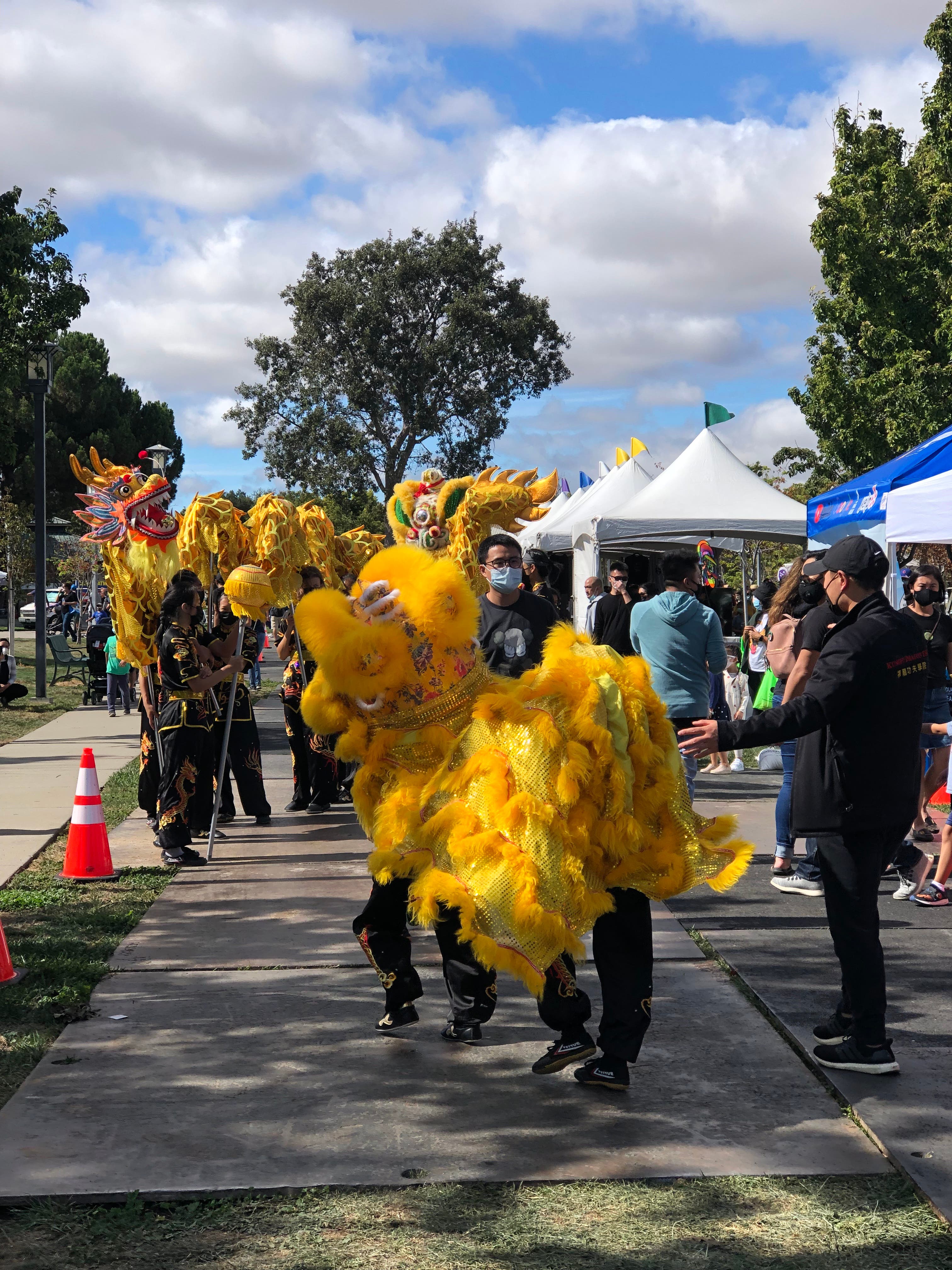 Kungfu Dragon Demo Team