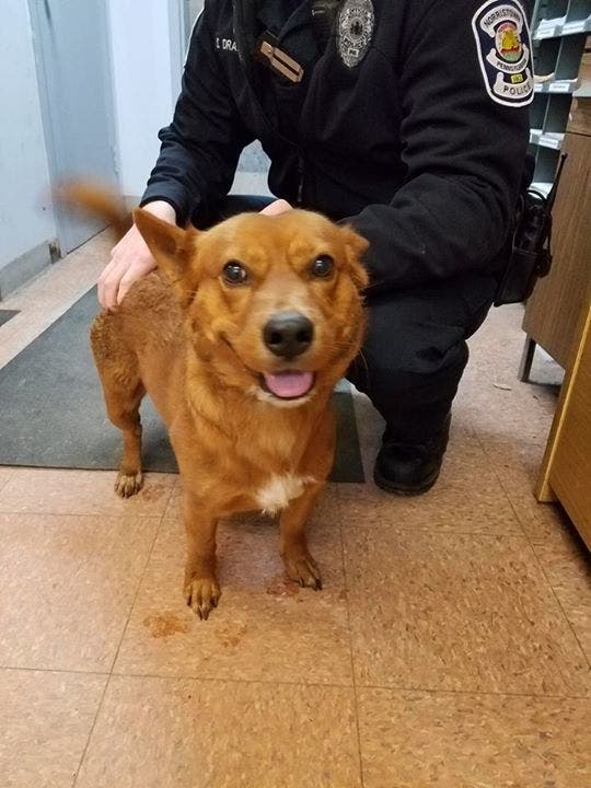 News small post card thumbnail