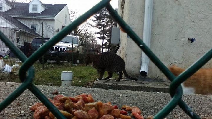 News small post card thumbnail