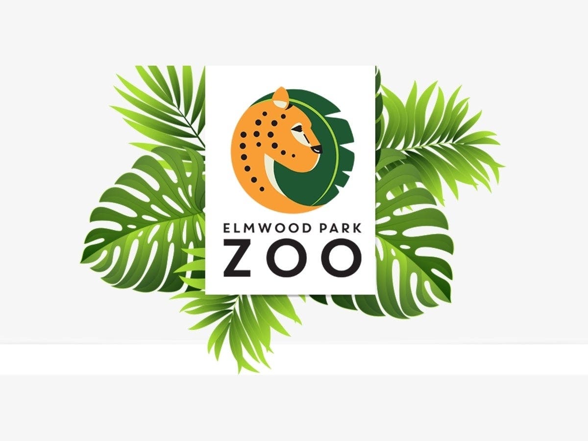 A new brachiosaurus exhibit is coming to the Elmwood Park Zoo in Norristown.