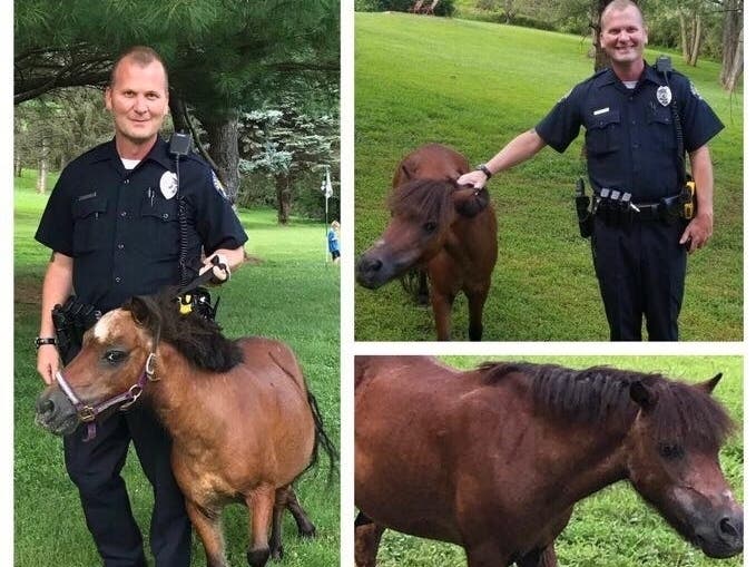 A West Chester cop rescued a horse that got loose recently in the borough.